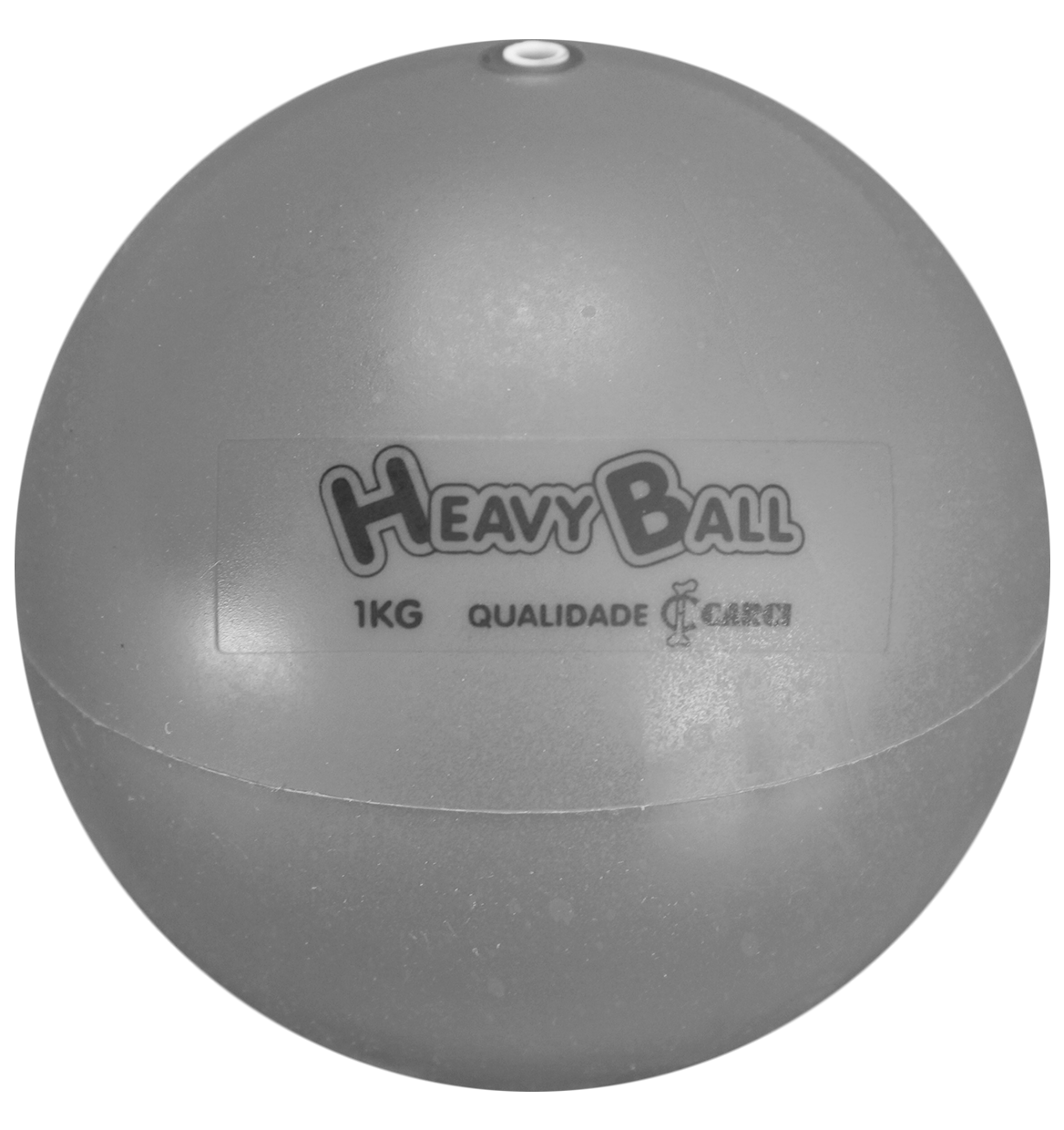 Heavy Ball Vermelha Fisioterapia CARCI Tudo para Fisioterapia e